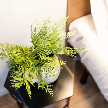 Bibrambla Apartmán Granada